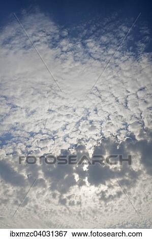 "Large fluffy clouds, altocumulus clouds, Mecklenburg-Western Pomerania, Germany, Europe" View Large Photo Image Stock Photo - "Large fluffy clouds, altocumulus clouds, Mecklenburg-Western Pomerania, Germany, Europe". Fotosearch