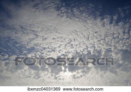 "Large fluffy clouds, altocumulus clouds, Mecklenburg-Western Pomerania, Germany, Europe" View Large Photo Image Stock Photo - "Large fluffy clouds, altocumulus clouds, Mecklenburg-Western Pomerania, Germany, Europe". Fotosearch