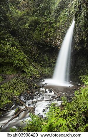 "Latourell Falls in the Columbia River Gorge, Portland, Oregon, United States, North America" View Large Photo Image Stock Image - "Latourell Falls in the Columbia River Gorge, Portland, Oregon, United States, North America". Fotosearch
