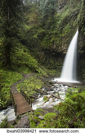 "Latourell Falls in the Columbia River Gorge, Portland, Oregon, United States, North America" View Large Photo Image Stock Image - "Latourell Falls in the Columbia River Gorge, Portland, Oregon, United States, North America". Fotosearch