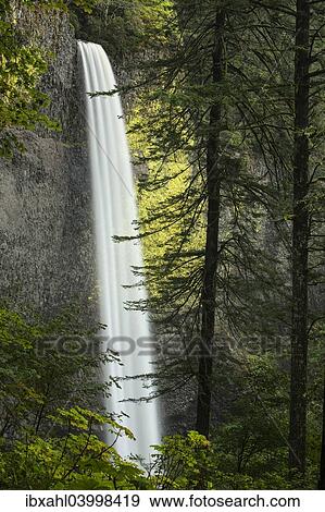 "Latourell Falls in the Columbia River Gorge, Portland, Oregon, United States, North America" View Large Photo Image Stock Photo - "Latourell Falls in the Columbia River Gorge, Portland, Oregon, United States, North America". Fotosearch