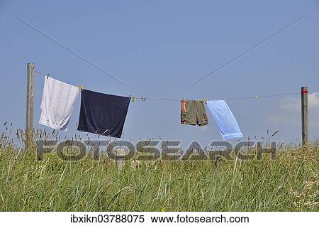 "Laundry hanging to dry on a washing line, Schleswig-Holstein, Germany, Europe" View Large Photo Image Stock Photography - "Laundry hanging to dry on a washing line, Schleswig-Holstein, Germany, Europe". Fotosearch