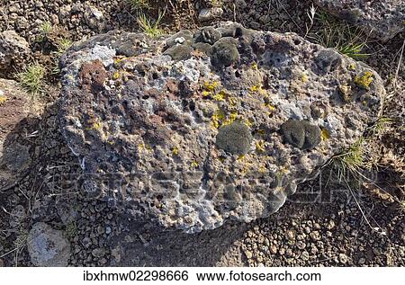 "Lava boulders covered with various lichens, Bennet Hills, Gooding, Highway 46, Idaho, USA" View Large Photo Image Stock Photograph - "Lava boulders covered with various lichens, Bennet Hills, Gooding, Highway 46, Idaho, USA". Fotosearch