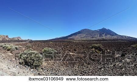 "Lava field, Mt Teide volcano at back, Teide National Park, UNESCO World Heritage Site, El Jaral, Tenerife, Canary Islands, Spain, Europe" View Large Photo Image Stock Photo - "Lava field, Mt Teide volcano at back, Teide National Park, UNESCO World Heritage Site, El Jaral, Tenerife, Canary Islands, Spain, Europe". Fotosearch