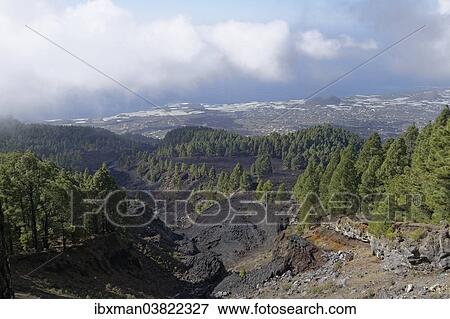 "Lava flow from 1949, Coladas de San Juan, Cumbre Vieja, La Palma, Canary Islands, Spain, Europe" View Large Photo Image Stock Photo - "Lava flow from 1949, Coladas de San Juan, Cumbre Vieja, La Palma, Canary Islands, Spain, Europe". Fotosearch
