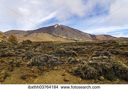 "Lava landscape in Teide National Park, UNESCO World Natural Heritage Site, Tenerife, Canary Islands, Spain, Europe" View Large Photo Image Picture - "Lava landscape in Teide National Park, UNESCO World Natural Heritage Site, Tenerife, Canary Islands, Spain, Europe". Fotosearch