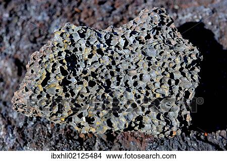 Picture - "Lava rock, La Palma, Canary Islands, Spain, Europe, PublicGround, Europe". Fotosearch