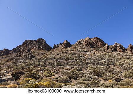 "Lava rocks in the Teide National Park, UNESCO World Heritage Site, Las Fuentes, Tenerife, Canary Islands, Spain, Europe" View Large Photo Image Stock Image - "Lava rocks in the Teide National Park, UNESCO World Heritage Site, Las Fuentes, Tenerife, Canary Islands, Spain, Europe". Fotosearch