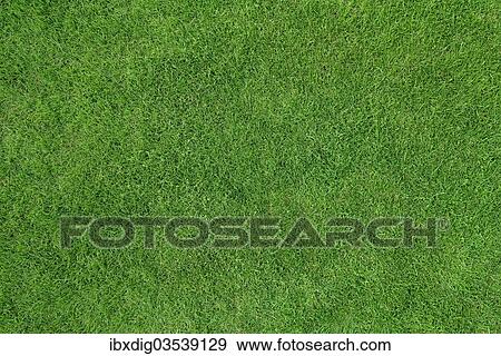 "Lawn, United Kingdom, Europe" View Large Photo Image Stock Photo - "Lawn, United Kingdom, Europe". Fotosearch