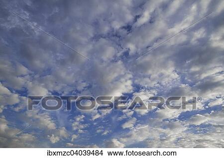 "Layer of fluffy clouds, altocumulus clouds" View Large Photo Image Picture - "Layer of fluffy clouds, altocumulus clouds". Fotosearch