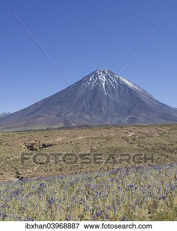 "Licancabur volcano, San Pedro de Atacama, Antofagasta Region, Chile, South America" View Large Photo Image Stock Photo - "Licancabur volcano, San Pedro de Atacama, Antofagasta Region, Chile, South America". Fotosearch
