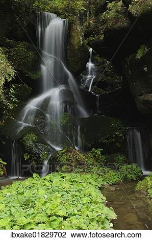 "Lichtenhainer Waterfall, Saxon Switzerland, Saxony, Germany, Europe" View Large Photo Image Stock Image - "Lichtenhainer Waterfall, Saxon Switzerland, Saxony, Germany, Europe". Fotosearch