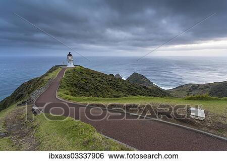"Lighthouse at Cape Reinga at dawn, Cape Reinga, Northland Region, New Zealand, Oceania" View Large Photo Image Stock Photograph - "Lighthouse at Cape Reinga at dawn, Cape Reinga, Northland Region, New Zealand, Oceania". Fotosearch