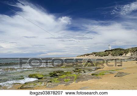 Stock Photo - "Lighthouse at Waipapa Point with clouds in the sky, sandy beach with algae covered rocks at the front, Otara, Fortrose, Southland Region, South Island, New Zealand, Oceania". Fotosearch