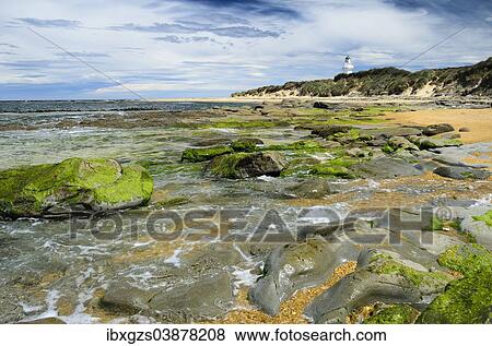 "Lighthouse at Waipapa Point with clouds in the sky, algae covered rocks at the front, Otara, Fortrose, Southland Region, South Island, New Zealand, Oceania" View Large Photo Image Stock Photo - "Lighthouse at Waipapa Point with clouds in the sky, algae covered rocks at the front, Otara, Fortrose, Southland Region, South Island, New Zealand, Oceania". Fotosearch