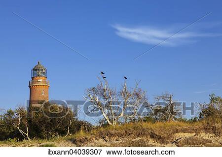 "Lighthouse in Darsser Ort, Western Pomerania Lagoon Area National Park, near Prerow, Darss, Mecklenburg-Western Pomerania, Baltic Sea, Germany, Europe" View Large Photo Image Stock Photo - "Lighthouse in Darsser Ort, Western Pomerania Lagoon Area National Park, near Prerow, Darss, Mecklenburg-Western Pomerania, Baltic Sea, Germany, Europe". Fotosearch