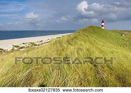 "Lighthouse of List Ost on the Sylt peninsula of Ellenbogen, Sylt, North Frisia, Schleswig-Holstein, Germany, Europe, PublicGround, Europe" View Large Photo Image Stock Photography - "Lighthouse of List Ost on the Sylt peninsula of Ellenbogen, Sylt, North Frisia, Schleswig-Holstein, Germany, Europe, PublicGround, Europe". Fotosearch