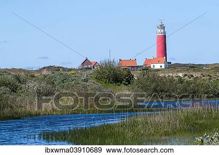 "Lighthouse, Texel, West Frisian Islands, North Holland, Holland, The Netherlands, Europe" View Large Photo Image Stock Photo - "Lighthouse, Texel, West Frisian Islands, North Holland, Holland, The Netherlands, Europe". Fotosearch