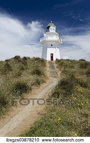 "Lighthouse with path and stairs at Waipapa Point, Otara, Fortrose, Southland Region, South Island, New Zealand, Oceania" View Large Photo Image Stock Image - "Lighthouse with path and stairs at Waipapa Point, Otara, Fortrose, Southland Region, South Island, New Zealand, Oceania". Fotosearch