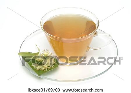 Lime blossom tea View Large Photo Image Stock Image - Lime blossom tea. Fotosearch