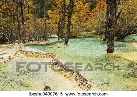Stock Photography - "Lime terraces with lake in autumnal environment, Huanglong National Park, Sichuan Province, China, Asia". Fotosearch