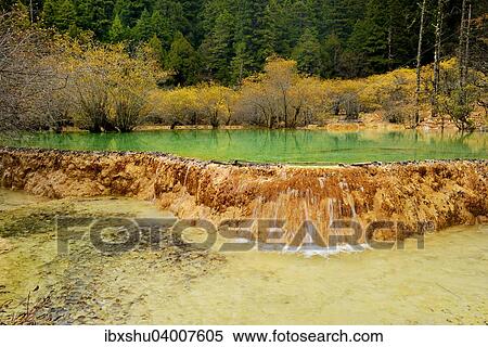 "Lime terraces with lakes in autumnal environment, Huanglong National Park, Sichuan Province, China, Asia" View Large Photo Image Stock Photography - "Lime terraces with lakes in autumnal environment, Huanglong National Park, Sichuan Province, China, Asia". Fotosearch