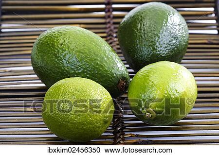 Limes (Citrus x aurantiifolia) and Avocados (Persea americana) View Large Photo Image Stock Image - Limes (Citrus x aurantiifolia) and Avocados (Persea americana). Fotosearch