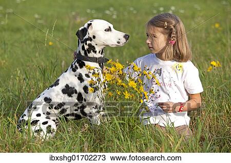 Little girl with Dalmatian in a meadow View Large Photo Image Stock Image - Little girl with Dalmatian in a meadow. Fotosearch