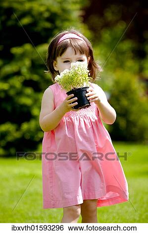 Little girl with flower pot View Large Photo Image Stock Photograph - Little girl with flower pot. Fotosearch