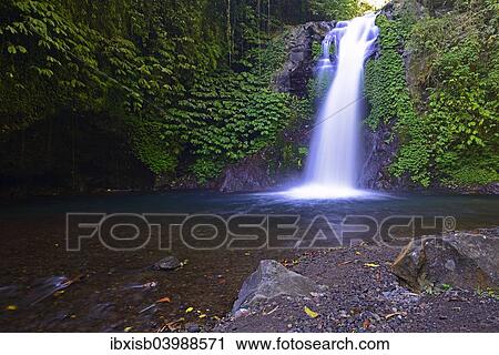 "Little Gitgit Waterfall, Central Bali, Bali, Indonesia, Asia" View Large Photo Image Stock Image - "Little Gitgit Waterfall, Central Bali, Bali, Indonesia, Asia". Fotosearch