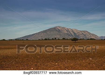 Stock Photo - "Little Karoo, semi-desert, Western Cape, South Africa, Africa". Fotosearch