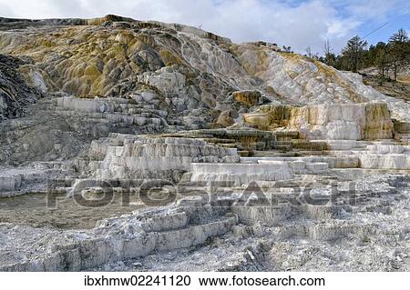 "Living Color sinter terraces, coloured by thermophilic bacteria, Lower Terraces Area, Mammoth Hot Springs, Yellowstone National Park, Wyoming, USA" View Large Photo Image Stock Image - "Living Color sinter terraces, coloured by thermophilic bacteria, Lower Terraces Area, Mammoth Hot Springs, Yellowstone National Park, Wyoming, USA". Fotosearch
