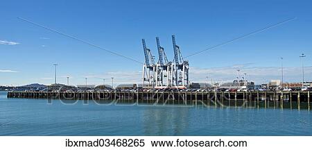 "Loading cranes in the port of Auckland seen from the Central Business District, Central Business District, Auckland, Auckland Region, New Zealand, Oceania" View Large Photo Image Stock Photography - "Loading cranes in the port of Auckland seen from the Central Business District, Central Business District, Auckland, Auckland Region, New Zealand, Oceania". Fotosearch