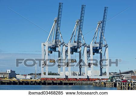 "Loading cranes in the port of Auckland seen from the Central Business District, Central Business District, Auckland, Auckland Region, New Zealand, Oceania" View Large Photo Image Stock Photography - "Loading cranes in the port of Auckland seen from the Central Business District, Central Business District, Auckland, Auckland Region, New Zealand, Oceania". Fotosearch