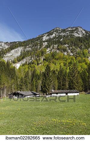 Stock Photography - "Loedenalm alp, Chiemgau region, Chiemgau Alps, Upper Bavaria, Bavaria, Germany, Europe". Fotosearch