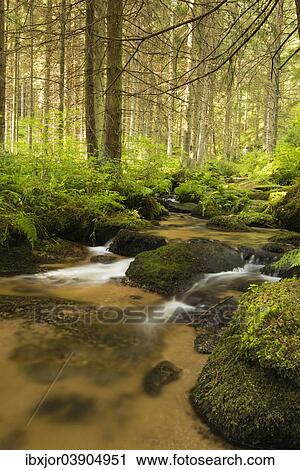 "Lohnbach stream, Lohn, Pehendorf, Schonbach, Waldviertel or Forest Quarter, Lower Austria, Austria, Europe" View Large Photo Image Stock Image - "Lohnbach stream, Lohn, Pehendorf, Schonbach, Waldviertel or Forest Quarter, Lower Austria, Austria, Europe". Fotosearch