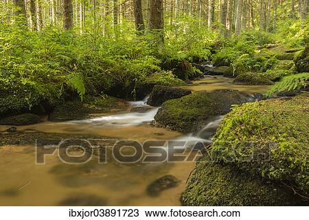 Stock Image - "Lohnbachfalle falls, near Arbesbach, Waldviertel, Forest Quarter, Lower Austria, Austria, Europe". Fotosearch