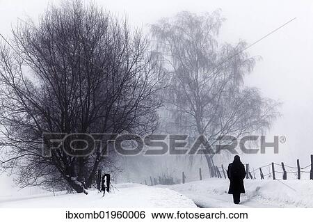"Lone walker, winter landscape with snow, tree in the fog, Gummersbach, North Rhine-Westphalia, Germany, Europe" View Large Photo Image Stock Photograph - "Lone walker, winter landscape with snow, tree in the fog, Gummersbach, North Rhine-Westphalia, Germany, Europe". Fotosearch