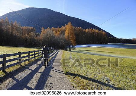 Stock Photograph - "Lonely walk of a woman in an autumnal landscape, Mieminger Plateau, Tyrol, Austria, Europe". Fotosearch
