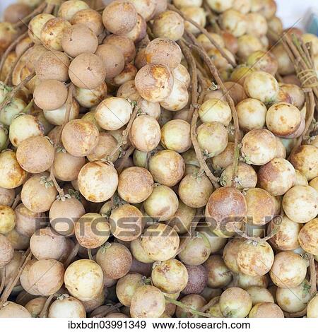 Stock Photo - "Longan fruits on display at a market, Thailand, Asia". Fotosearch