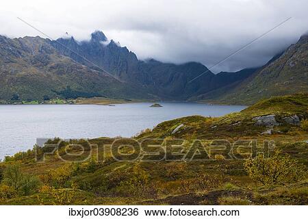 "Lookout, Austnesfjord, Vagan, Nordland, Lofoten, Norway, Europe" View Large Photo Image Stock Photograph - "Lookout, Austnesfjord, Vagan, Nordland, Lofoten, Norway, Europe". Fotosearch