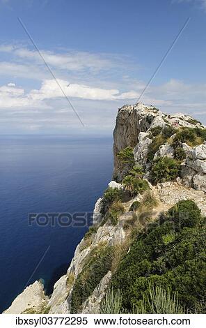 "Lookout point, coastline, Cap de Formentor, Majorca or Mallorca, Spain, Europe" View Large Photo Image Stock Photography - "Lookout point, coastline, Cap de Formentor, Majorca or Mallorca, Spain, Europe". Fotosearch