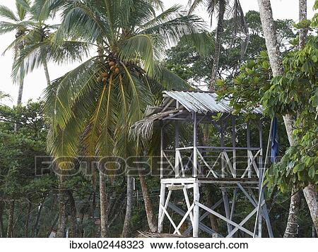 "Lookout tower, Playa Cocles, Puerto Viejo de Talamanca, Costa Rica, Central America, North America" View Large Photo Image Stock Image - "Lookout tower, Playa Cocles, Puerto Viejo de Talamanca, Costa Rica, Central America, North America". Fotosearch