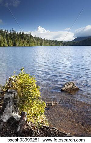 "Lost Lake with Mount Hood, Hood River, Oregon, United States, North America" View Large Photo Image Stock Image - "Lost Lake with Mount Hood, Hood River, Oregon, United States, North America". Fotosearch