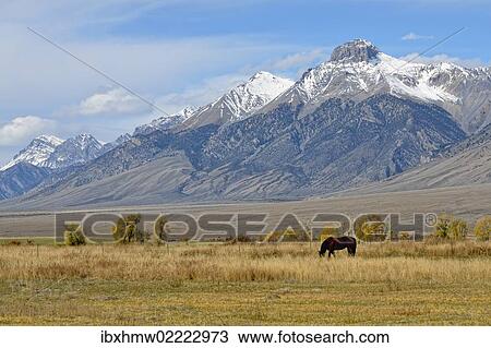 "Lost River Range, Big Lost River Valley, Idaho, USA" View Large Photo Image Stock Image - "Lost River Range, Big Lost River Valley, Idaho, USA". Fotosearch