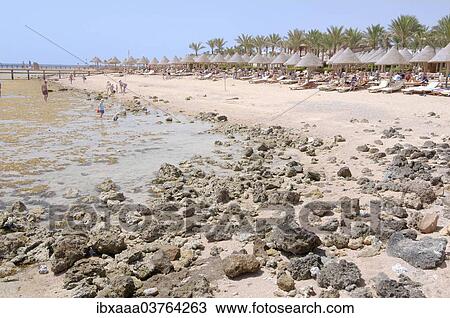 Stock Image - "Low tide on Coral Beach, Sharm el-Sheikh, South Sinai Governorate, Egypt, Africa". Fotosearch
