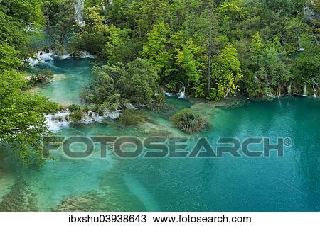 Stock Image - "Lower lakes with small waterfalls, Plitvice Lakes National Park, Plitvice Jezera, Lika-Senj, Croatia, Europe". Fotosearch