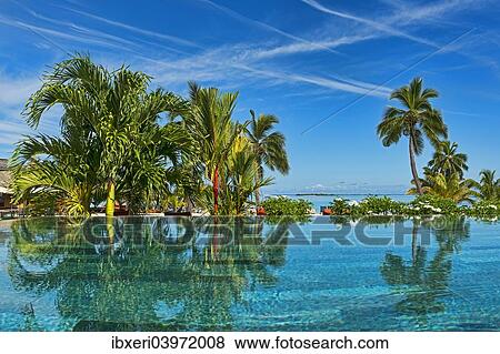 "Lush vegetation by the water, Moorea, French Polynesia, Oceania" View Large Photo Image Stock Photo - "Lush vegetation by the water, Moorea, French Polynesia, Oceania". Fotosearch