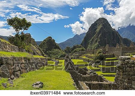 "Machu Picchu, UNESCO World Heritage Site, Peru, South America" View Large Photo Image Picture - "Machu Picchu, UNESCO World Heritage Site, Peru, South America". Fotosearch