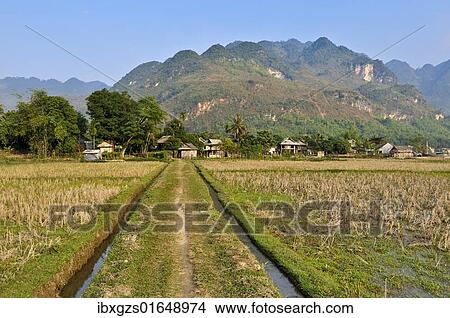 "Mai Chau, a village where ethnic minorities live, Vietnam, Southeast Asia, Asia" View Large Photo Image Picture - "Mai Chau, a village where ethnic minorities live, Vietnam, Southeast Asia, Asia". Fotosearch